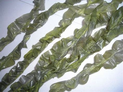 fake seaweed from trash bags|diy sea weed.